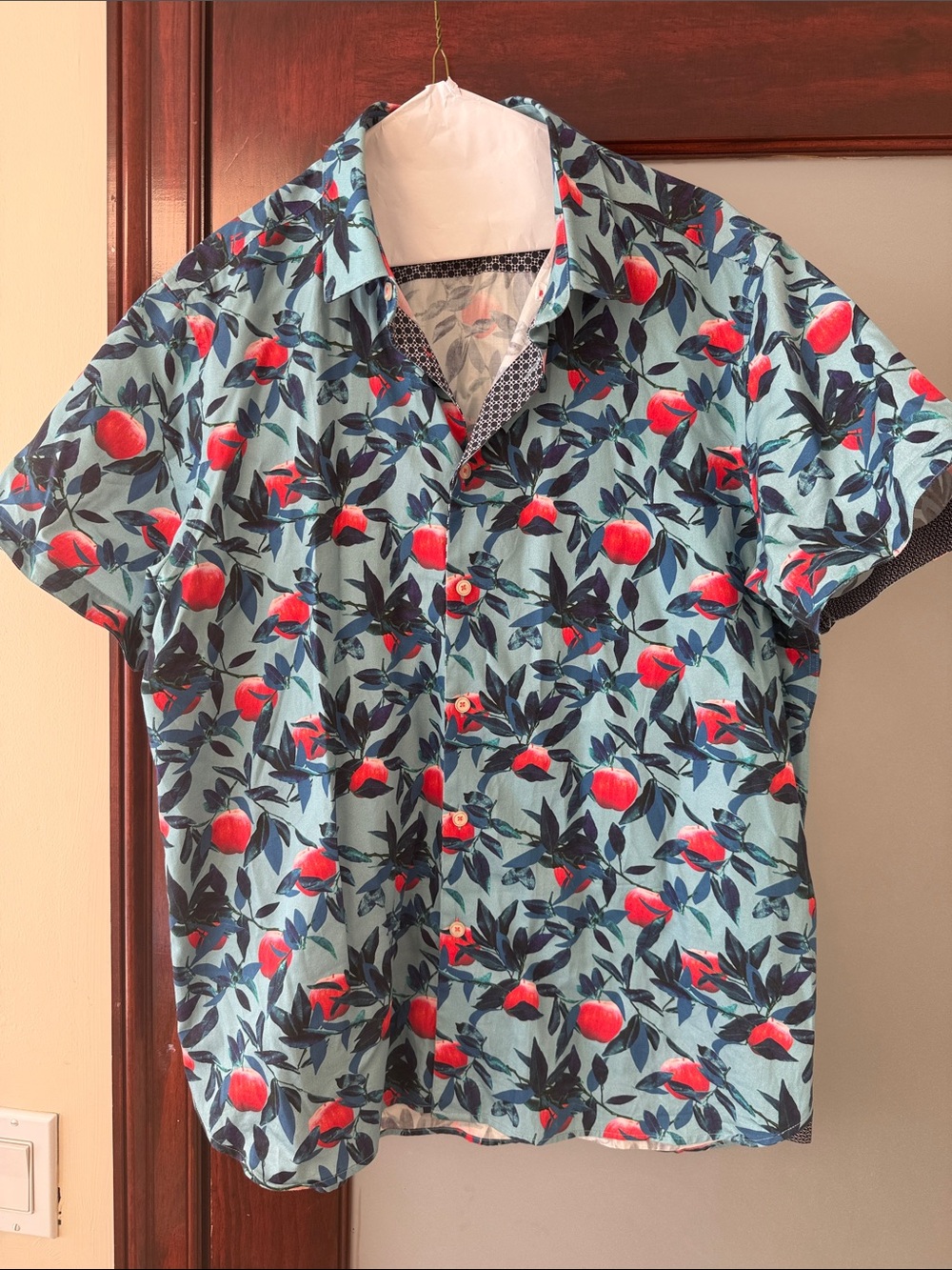 Men's Short-Sleeve Shirt in Light Blue with Red Apples